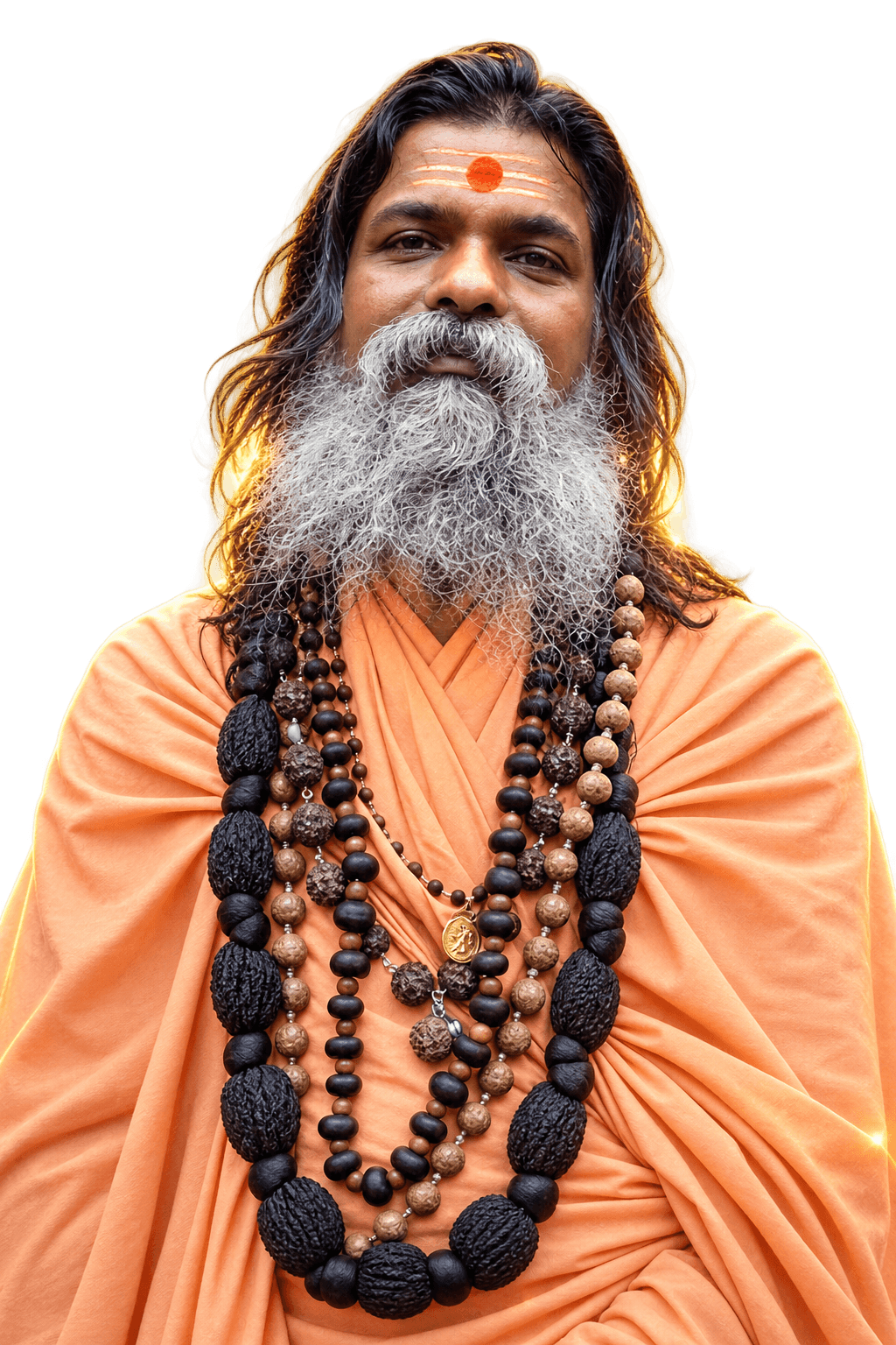 स्वामी श्री गोपालानंद सरस्वती जी महाराज