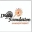 Divya Foundation